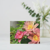 Oranje Chinese pinda's bloemen Briefkaart (Staand voorkant)