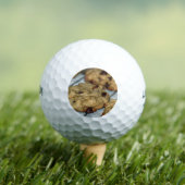 Oranje chocolade Chip Cookies Golfballen (Insitu Shirt)