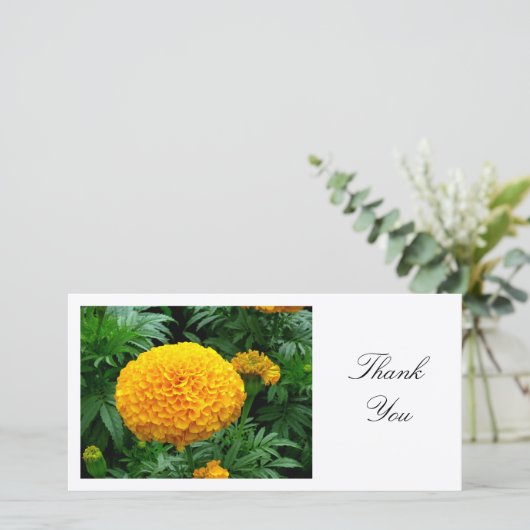Oranje chrysant - Dank u Bedankkaart (Staand voorkant)