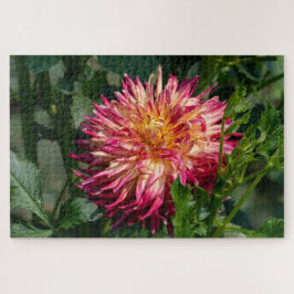 Oranje Chrysant Fotografie, Canadian Beauty Legpuzzel