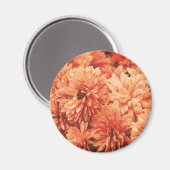 Oranje chrysant magneet (Voorkant / Achterkant)