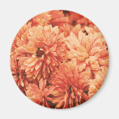 Oranje chrysant magneet (Voorkant)