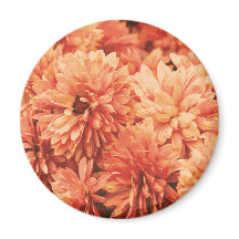 Oranje chrysant magneet