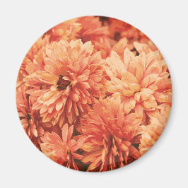 Oranje chrysant magneet
