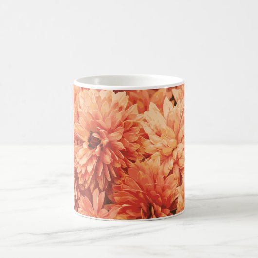 Oranje chrysant Mok (Center)