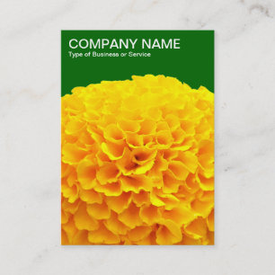 Oranje Chrysanthemum - Deep Grass Green 006600 Visitekaartje