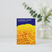 Oranje Chrysanthemum - Diepzeemacht Visitekaartje (Staand voorkant)