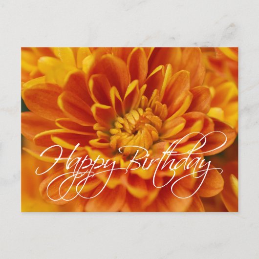 Oranje Chrysanthemum Happy Birthday Briefkaart (Voorkant)