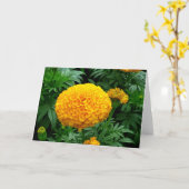 Oranje Chrysanthemum Kaart (Gele Bloem)