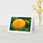 Oranje Chrysanthemum Kaart (Gele Bloem)