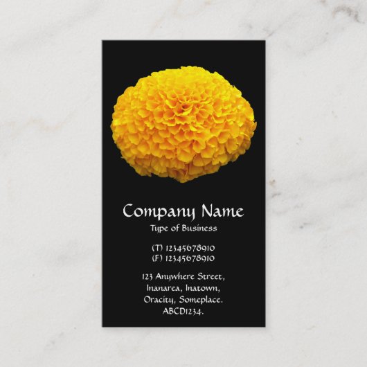 Oranje Chrysanthemum - Zwart Visitekaartje (Voorkant)