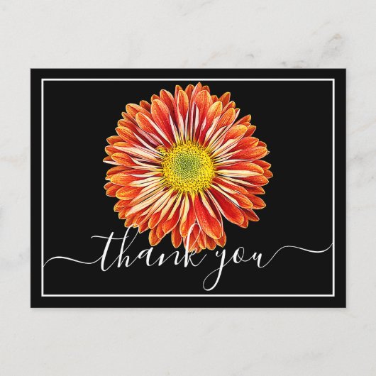 Oranje Chrysanthemum Zwarte Achtergrond Dank Je Briefkaart (Voorkant)