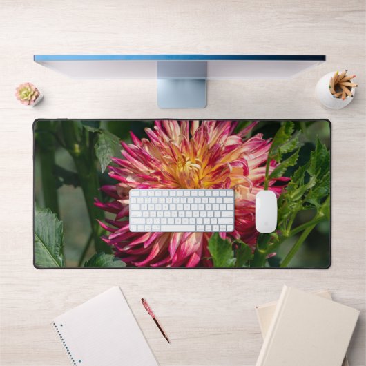 Oranje Chrysanthemumfotografie, Canadian Flower Bureaumat (Kantoor 1)