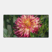 Oranje Chrysanthemumfotografie, Canadian Flower Bureaumat (Voorkant)