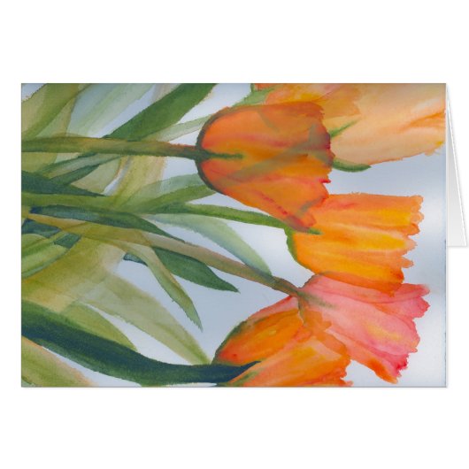 Oranje citrustulpen (Voorkant Horizontaal)