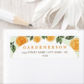 Oranje citrusvruchten etiket (Insitu)