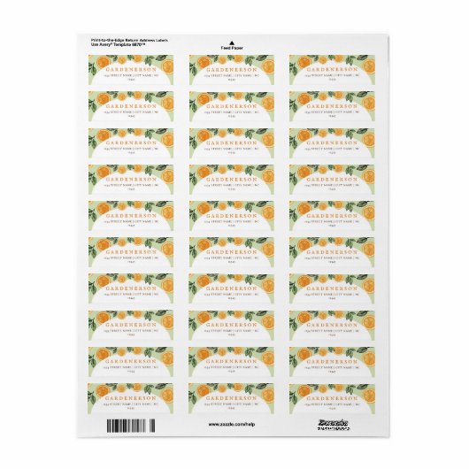 Oranje citrusvruchten etiket (Full Sheet)