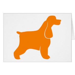 Oranje Cocker Spaniel