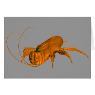 Oranje Cockroach