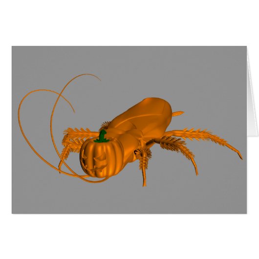 Oranje Cockroach (Voorkant Horizontaal)