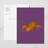 Oranje Cockroach Briefkaart (Voorkant / Achterkant)
