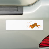 Oranje Cockroach Bumpersticker (Op auto)