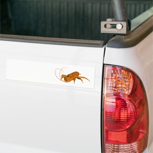 Oranje Cockroach Bumpersticker (Op Truck)