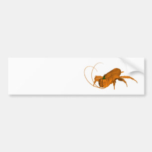 Oranje Cockroach Bumpersticker