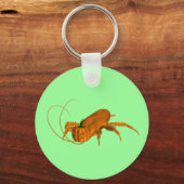 Oranje Cockroach Sleutelhanger (Voorkant)
