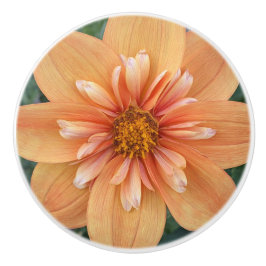 Oranje Collarette Dahlia Floral Keramische Knop