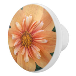 Oranje Collarette Dahlia Floral Keramische Knop