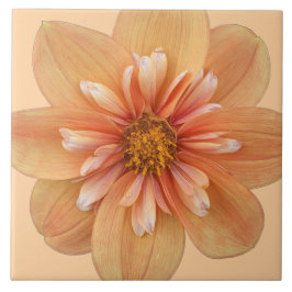Oranje Collarette Dahlia Floral Tegeltje