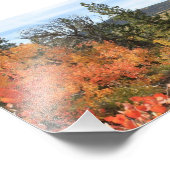 Oranje Colorado Aspen Foto Afdruk (Hoek)