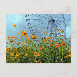 Oranje Cosmos Bloemen & Reuzenrad: Tokyo Postkaart