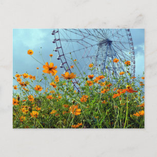 Oranje Cosmos Bloemen & Reuzenrad: Tokyo Postkaart