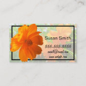 Oranje Cosmos Flowers op Green Visitekaartje (Achterkant)