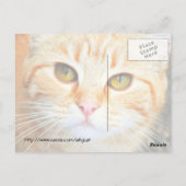 Oranje creditcard briefkaart (Achterkant)