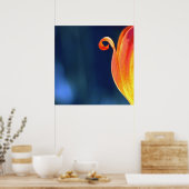 Oranje Curly Tulip Petal Curl Macro Abstract Poster (Keuken)