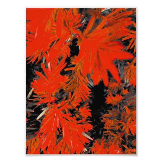 ORANJE DAAD FOTO AFDRUK (Voorkant)