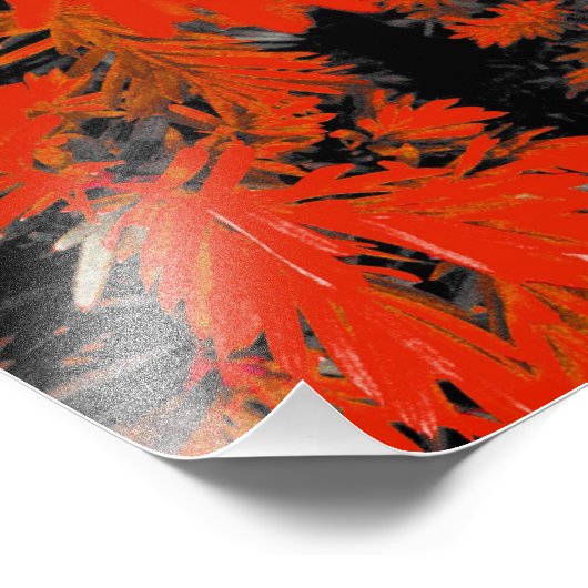 ORANJE DAAD FOTO AFDRUK (Hoek)