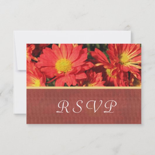 Oranje dagbloem RSVP bruiloft Kaart (Achterkant)