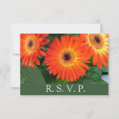 Oranje dagbloemen, bloemrijke RSVP bruiloft (Achterkant)