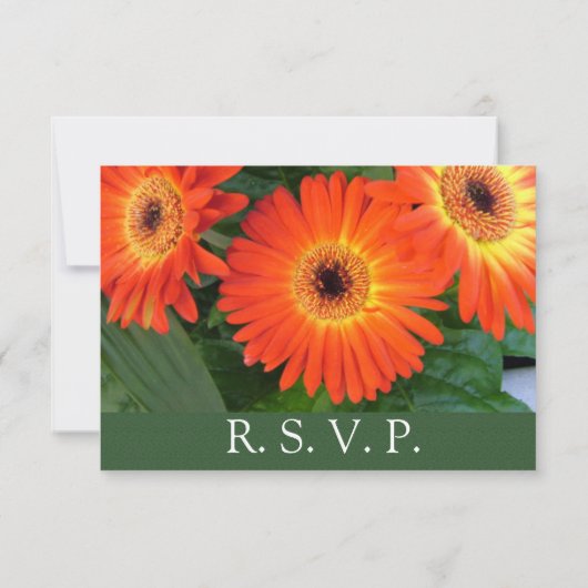Oranje dagbloemen, bloemrijke RSVP bruiloft (Achterkant)