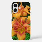 Oranje dagbloemen Case-Mate iPhone case (Achterkant)