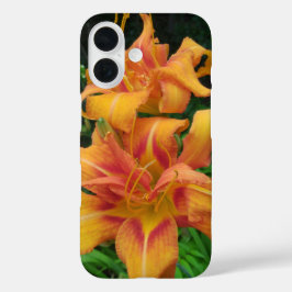 Oranje dagbloemen iPhone 16 hoesje