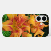 Oranje dagbloemen Case-Mate iPhone case (Achterkant (horizontaal))