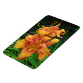 Oranje dagbloemen magneet (Linkerzijde)