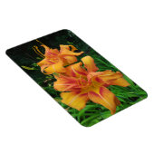 Oranje dagbloemen magneet (Rechterzijde)