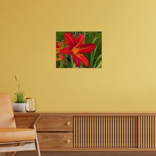 Oranje Daglelie Bloei Bloem Poster (Woonkamer 2)