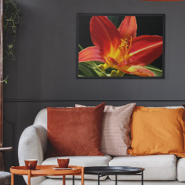 Oranje Daglelie Bloem Bloemfotografie Poster